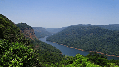 The green hills in Kasauli