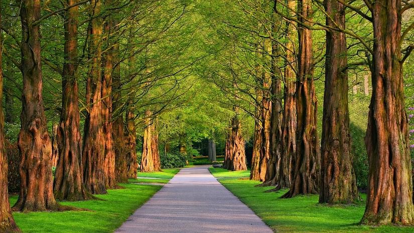 pathway-3596034 1280