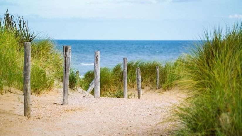 A sandy path with wooden posts lining it, leading through grassy dunes towards a blue sea under a partly cloudy sky.