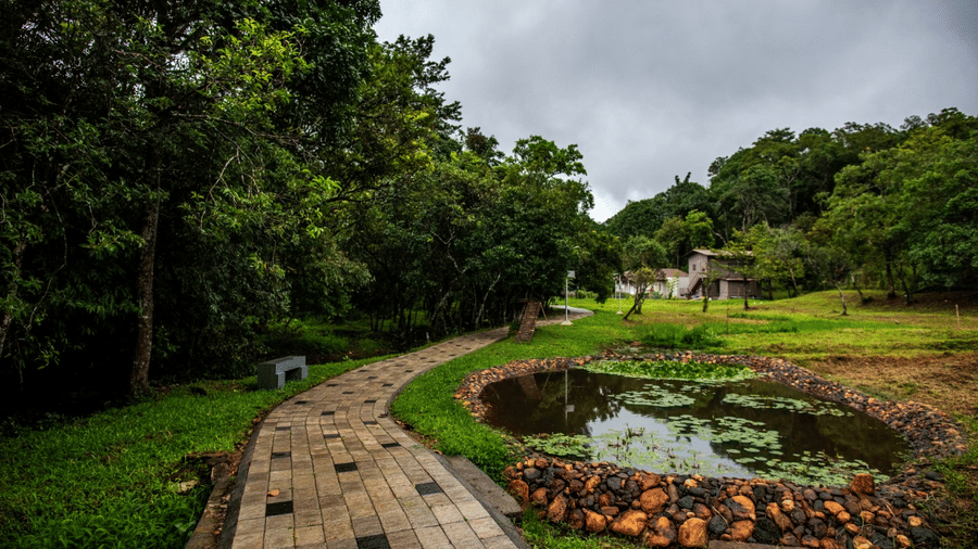 A stone-paved path leading through a well-maintained garden, bordered by lush plants and a small pond.- Abad Brookside Lakkidi, Wayanad