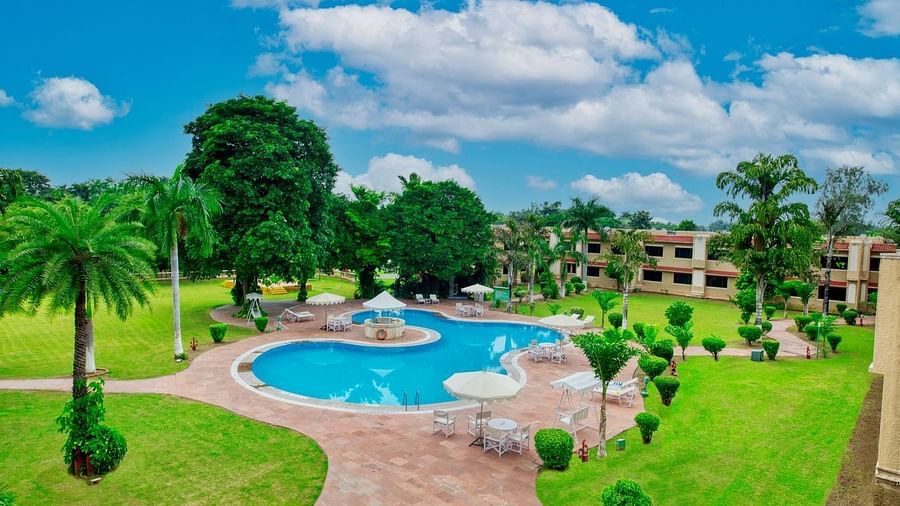 Pool Garden