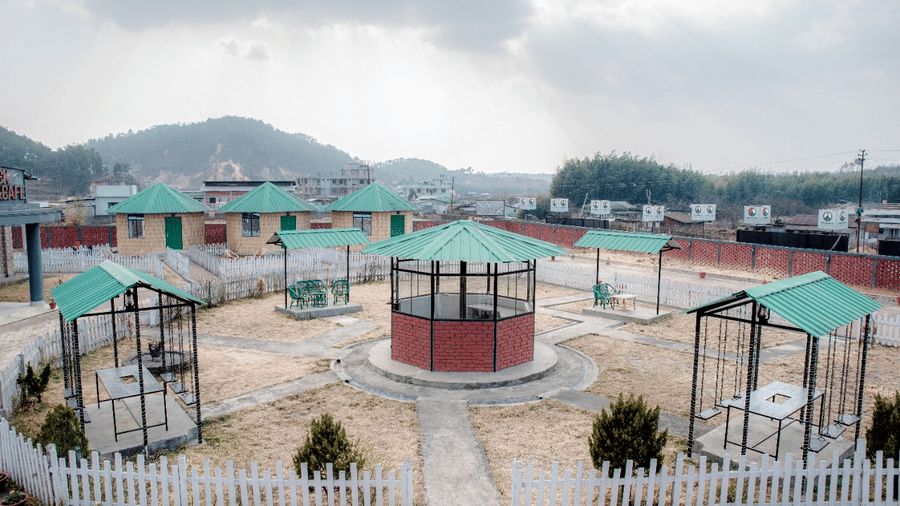 Plants placed in pattern in an open place.