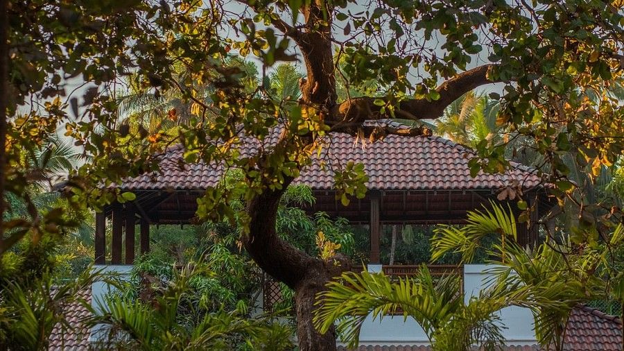 Casa Sea - Esta Villa at Hamsa Villas Goa Hotels Rooms in Goa 6