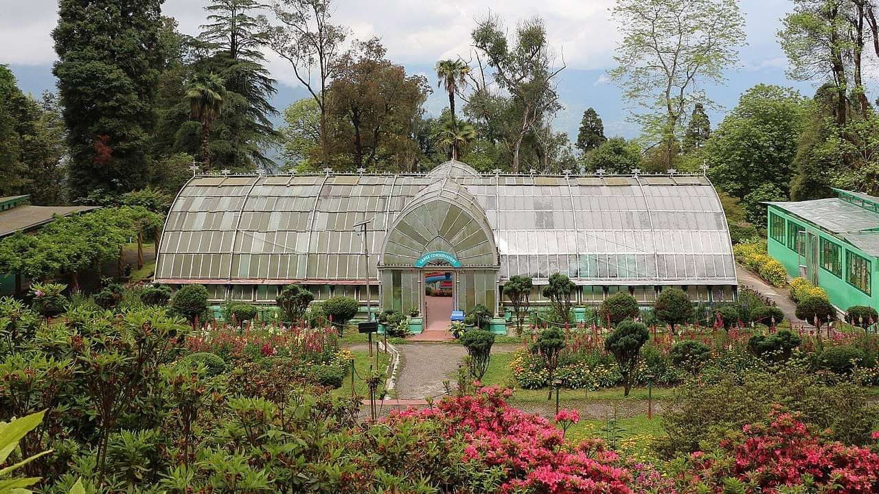 A blooming garden filled with vibrant flowers and surrounded by trees.