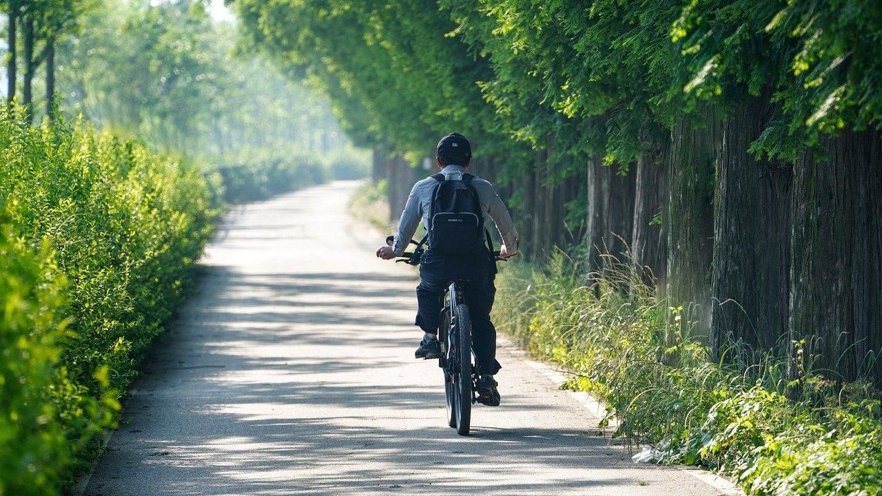 a person riding a bicycle on a clear sunny pathway surrounded by lush greenery in the pathway