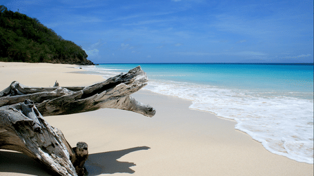 A sunlit tropical beach with soft white sand, turquoise waves, and driftwood resting near the shoreline—serene and scenic .