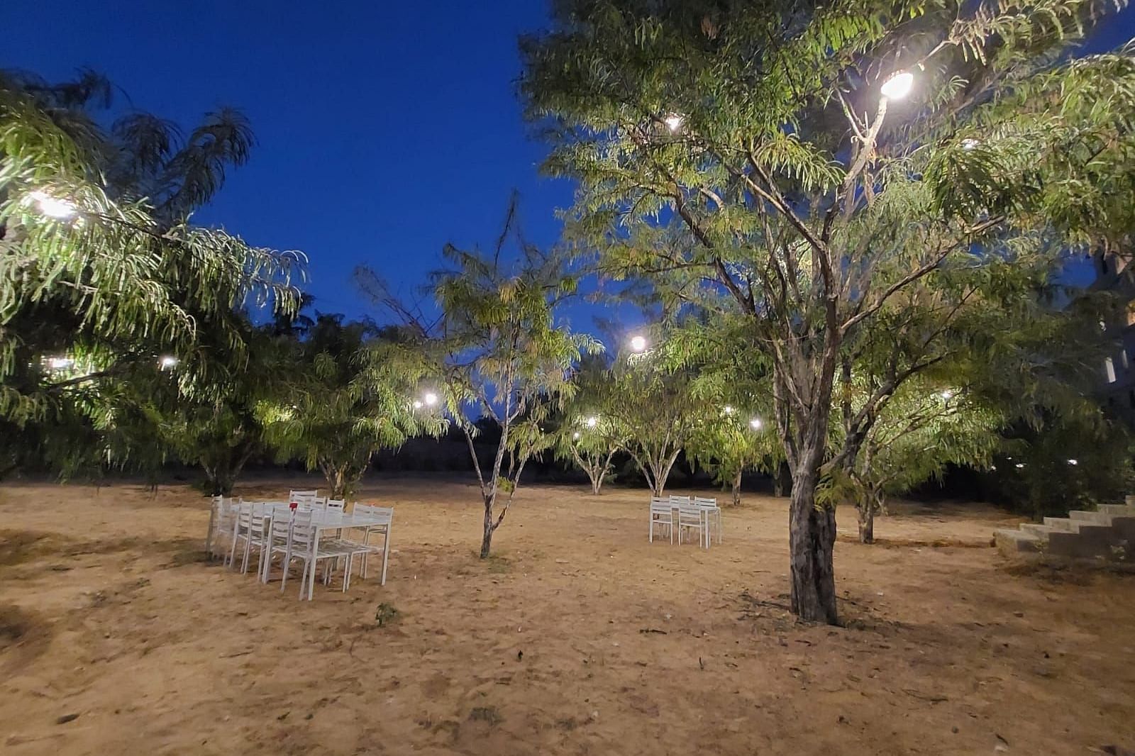 A nighttime shot of an outdoor space at Bamboo Saa Mulberry Resort, with trees illuminated by string lights.