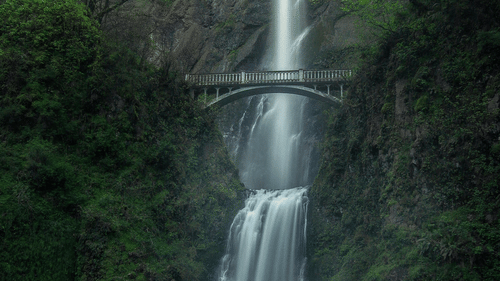 A tall waterfall dropping from a cliff, framed by thick trees and vegetation in a forested area.