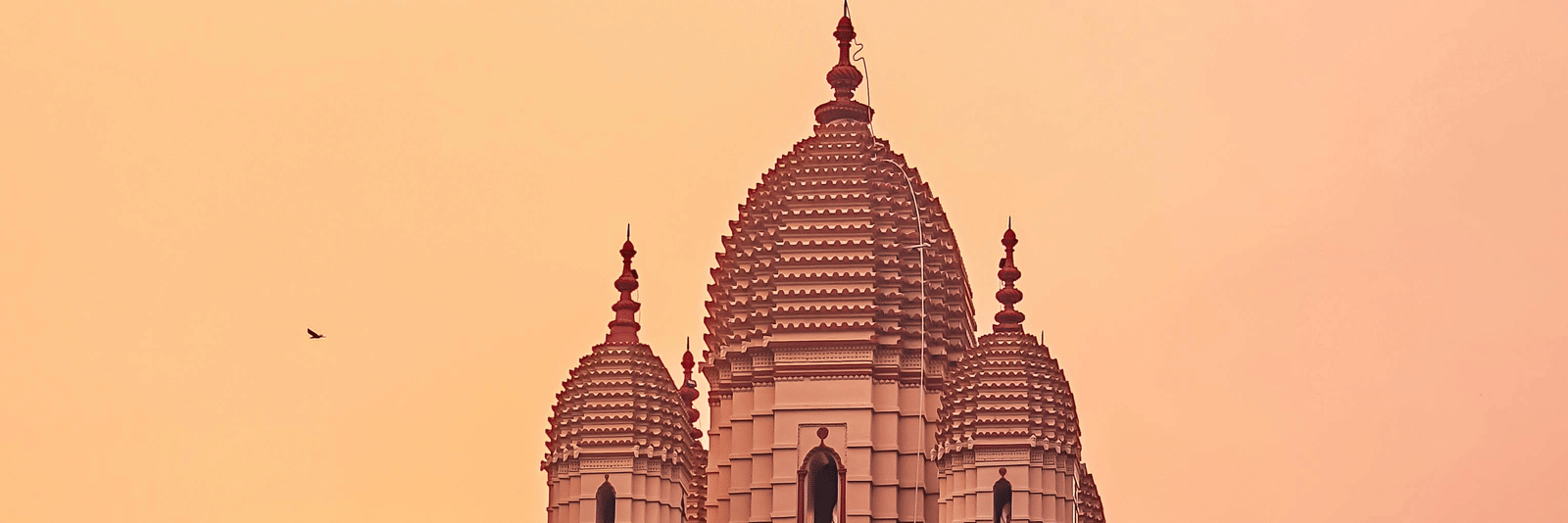 pexels-rohit-sharma-1230131-29556532