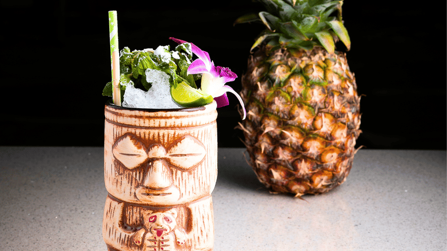 Terra drinks (6)