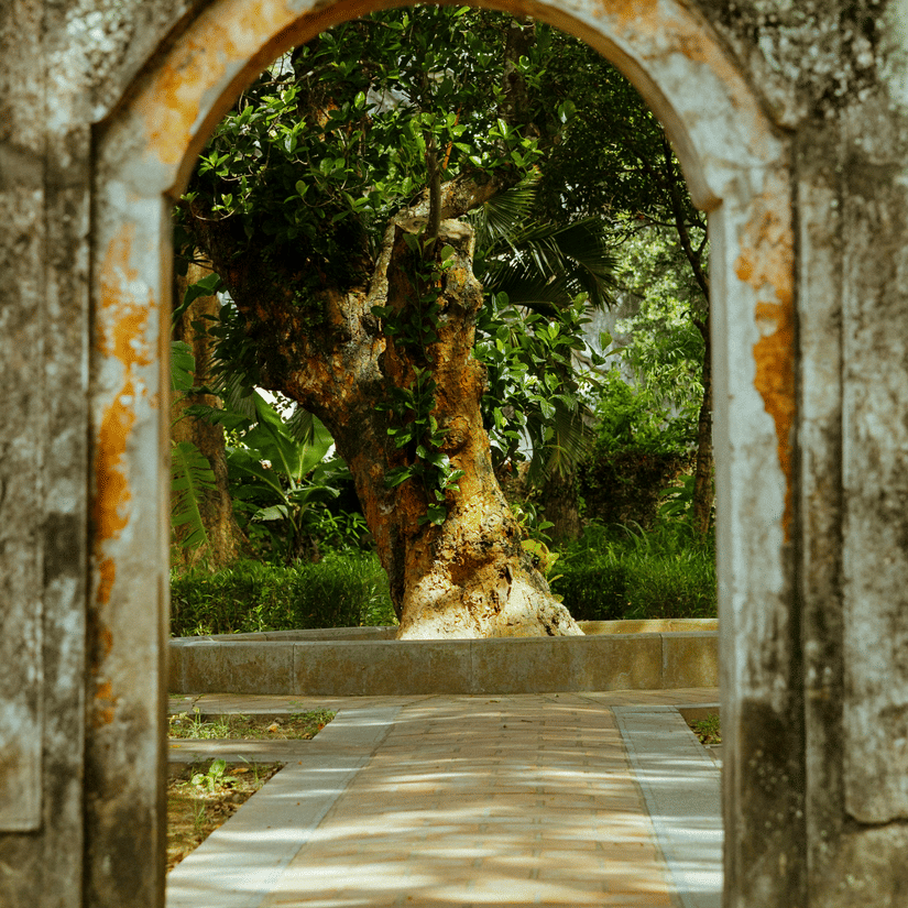 A stone archway opening into a courtyard with a large tree at its centre.