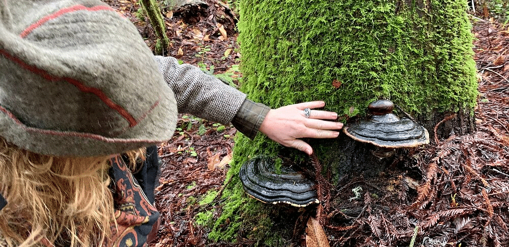 A person's hand touching a mushroom growing on the side of a tree trunk, with moss and bark visible.