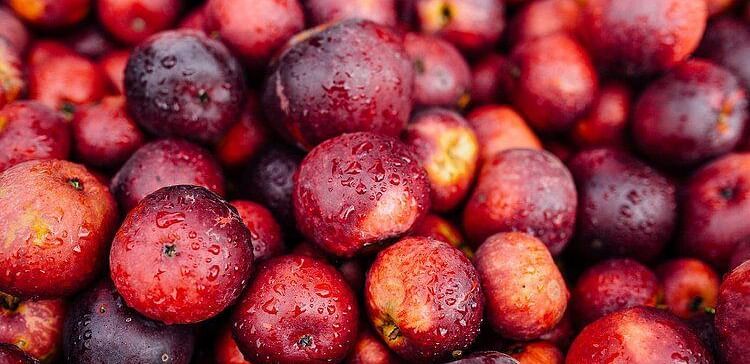 A pile of freshly picked cider apples, glistening with moisture and varying in tone from dark to speckled light.