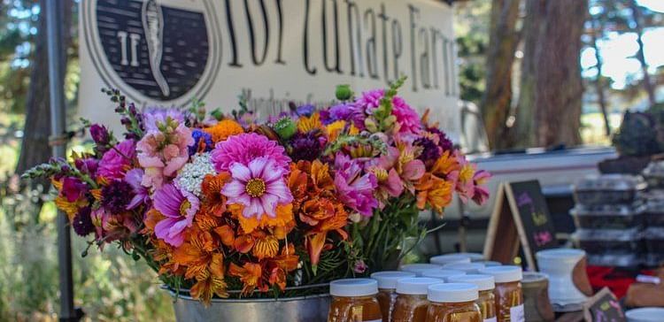 A market stall with colorful flowers in a bucket and jars of preserves.