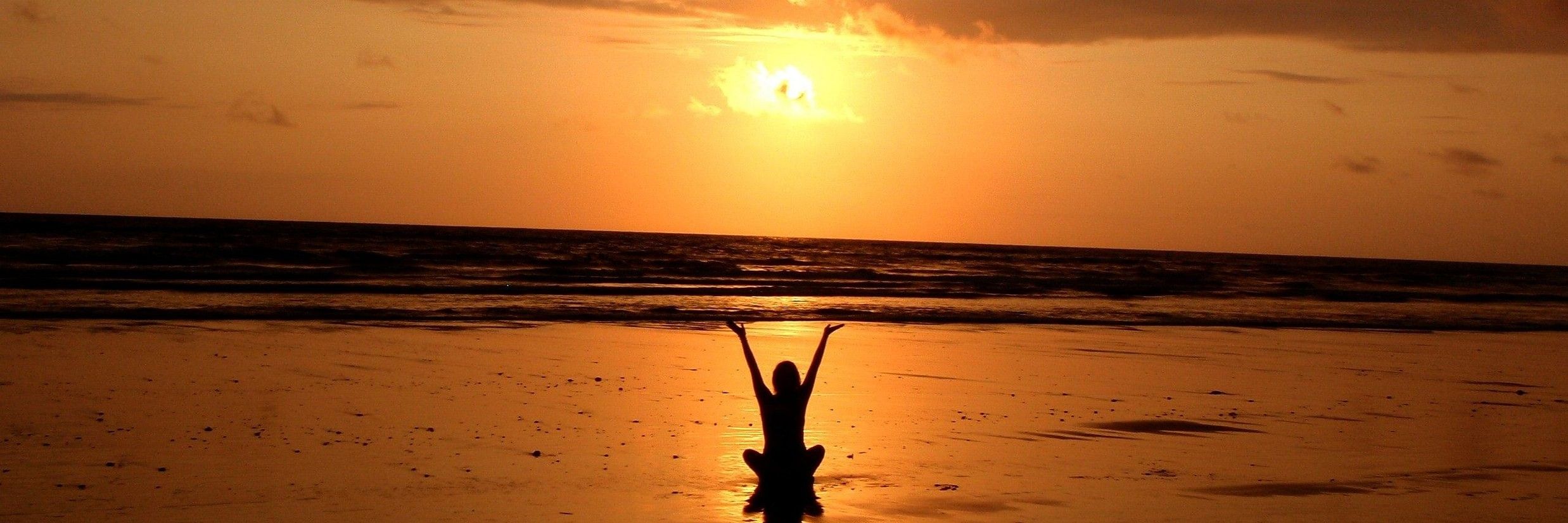 Yoga Wellness 2