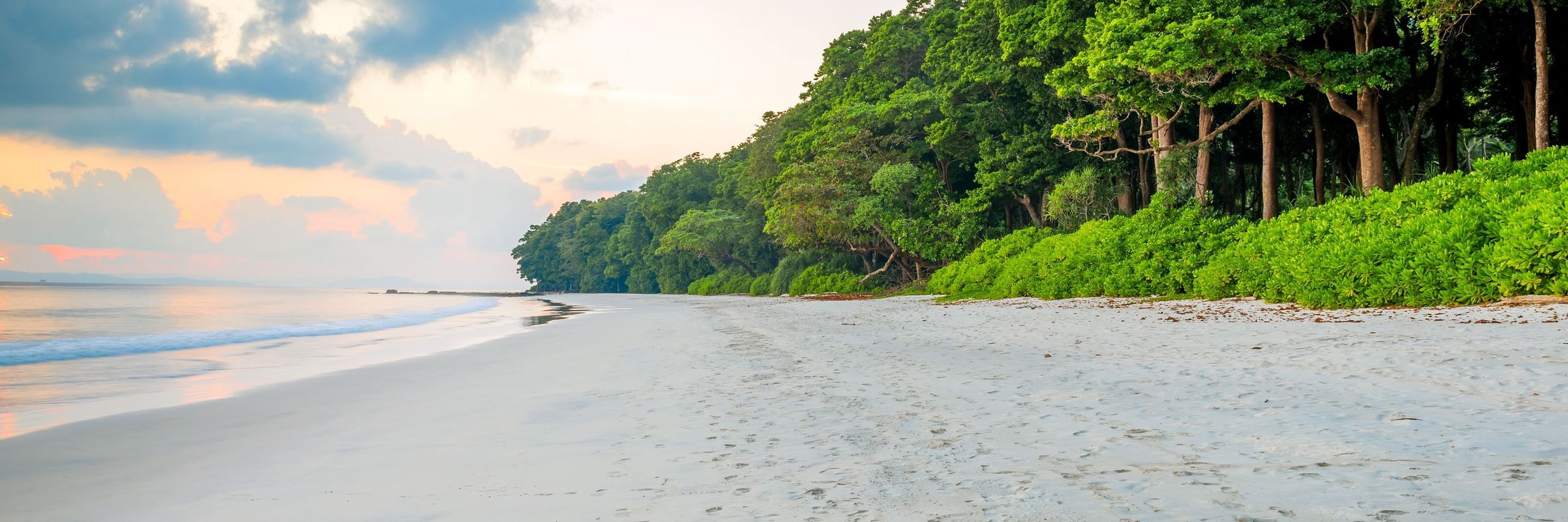 Beachside location showcasing water body on on side and sandy beach. Beyond it there is bunch of trees.