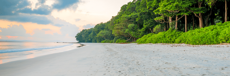 Beachside location showcasing water body on on side and sandy beach. Beyond it there is bunch of trees.