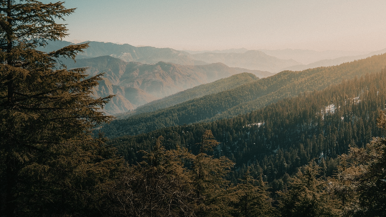 View of a nature landscape