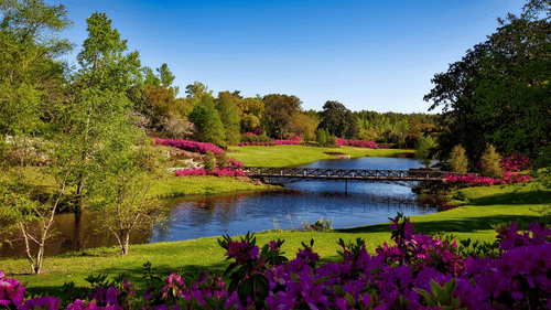 image of a serene park with colourful trees and a lake in the centre