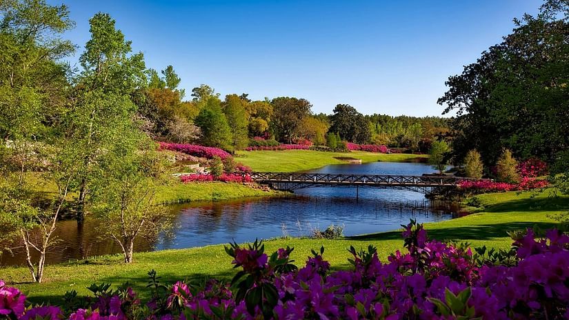 image of a serene park with colourful trees and a lake in the centre