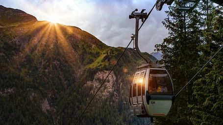 Image of  a cable car going though a forest