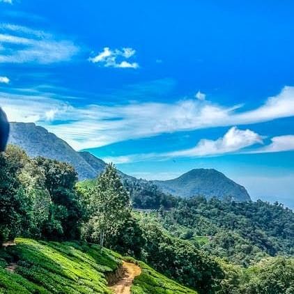 Scenic tea plantation trail winding through bright green hills under a vibrant blue sky.