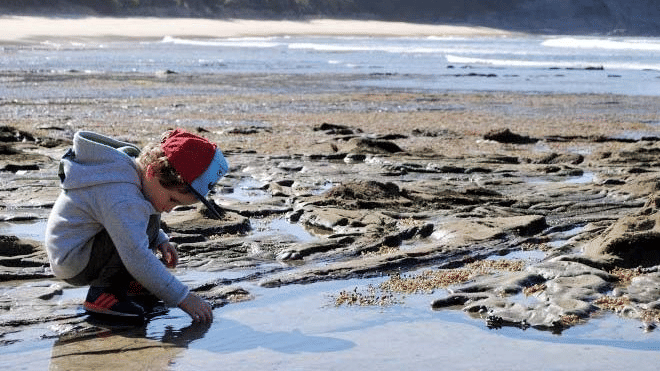 A child crouching on a rocky shoreline during low tide, examining tide pools and wet sand formations with the sea visible in the background.