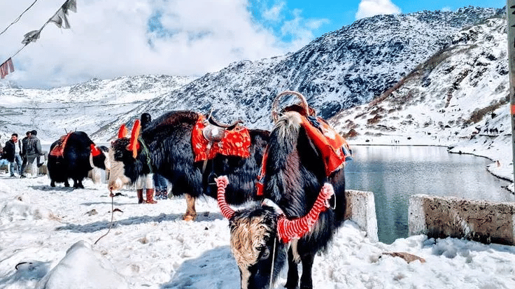 02c8db42b50171d04b5383a16c0e31d5