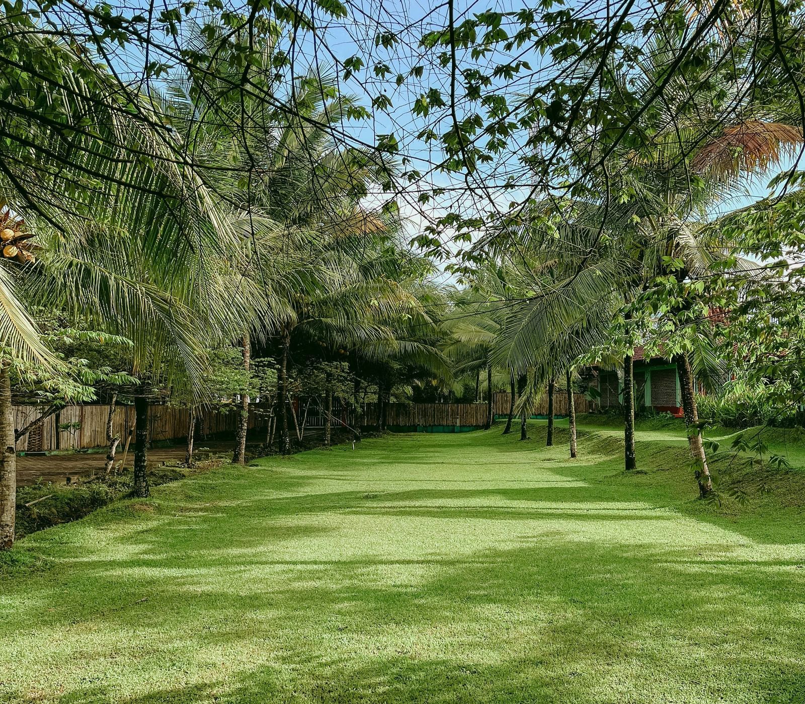 A lawn with a large open space and trees surrounding it.