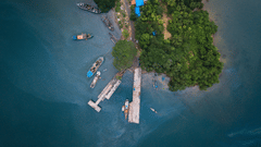 An aerial view of Port Blair with boats, trees and a road in view
