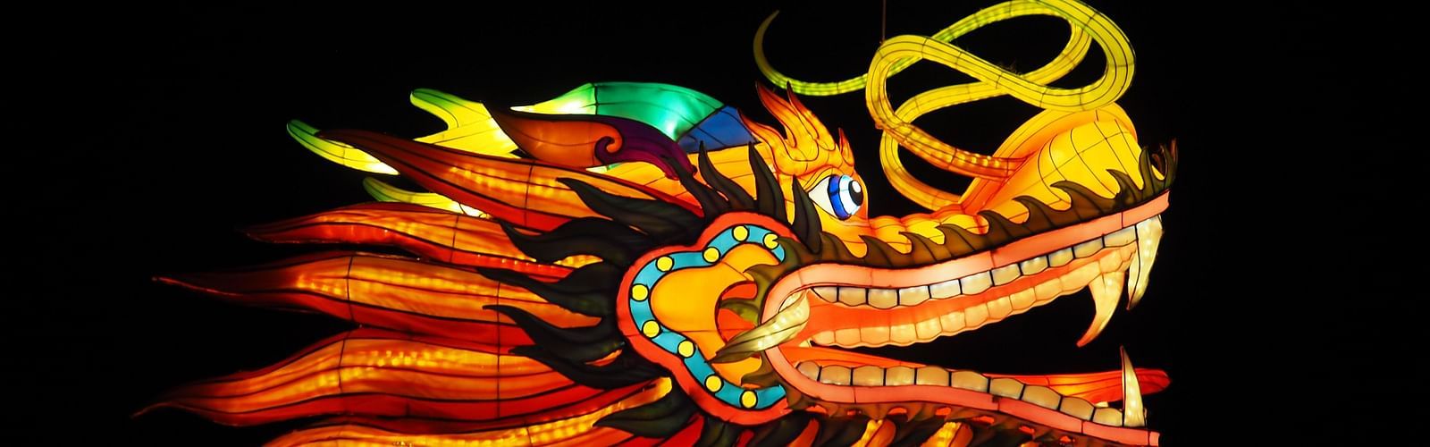 a close up shot of a dragon that is made for Lunar New Year festivities