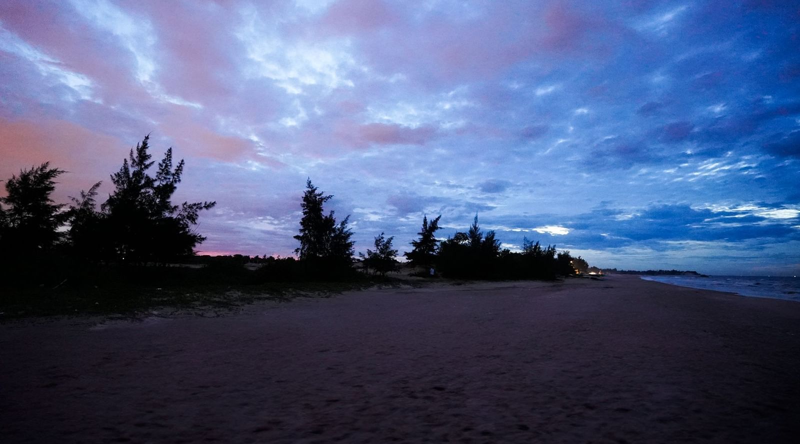 A view of a beach at dusk with trees around