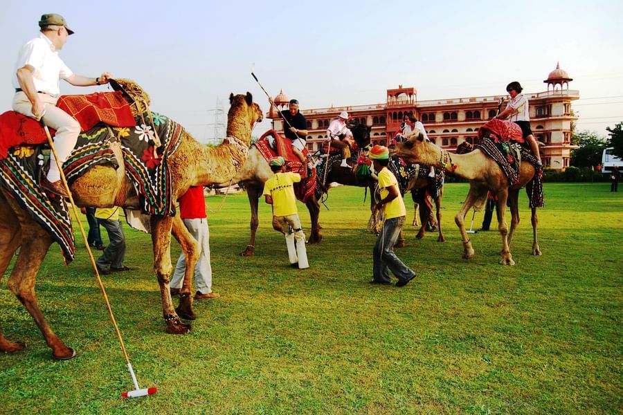 Umaid Palace Dausa  Camel Polo with Champagne Lunch or High Tea 9