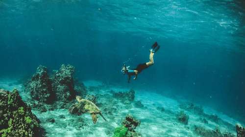 a person underwater snorkeling with corals and rocks 