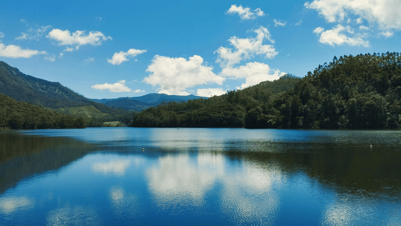 A large, calm blue lake with soft ripples reflecting fluffy white clouds and a bright blue sky, bordered by dense green forests and distant hills.