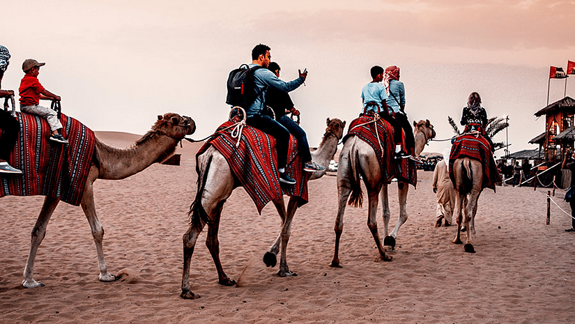 A group of people take part in camel safari in the evening - Karwaan Jaisalmer