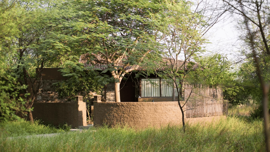 Exterior of The Blackbuck Lodge, Velavadar featuring a cottage surrounded by trees and greenery.