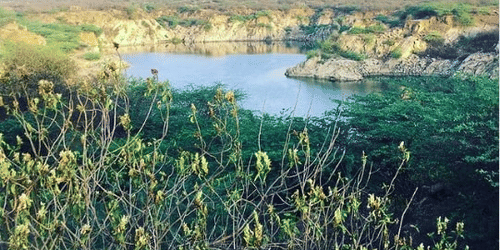 Neemrana, trips near delhi