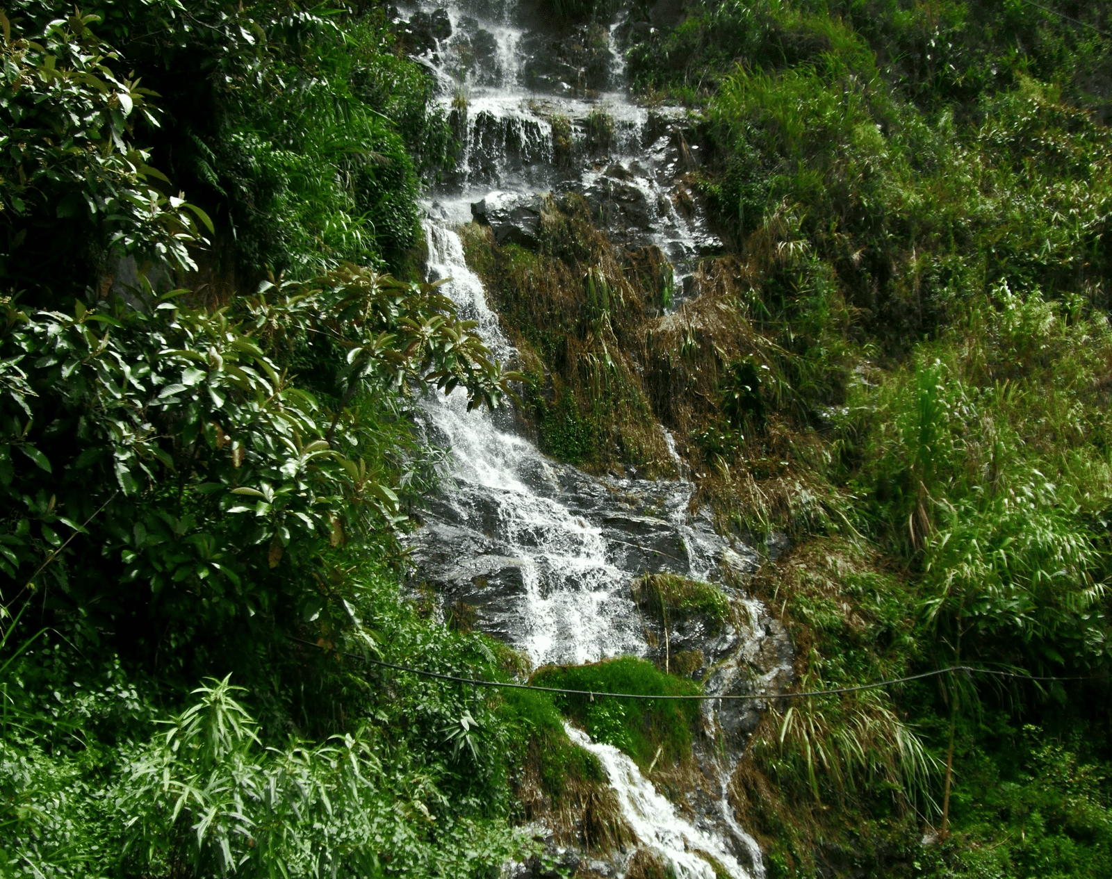 Scenic waterfall cascading down lush green hillside in Shimla.