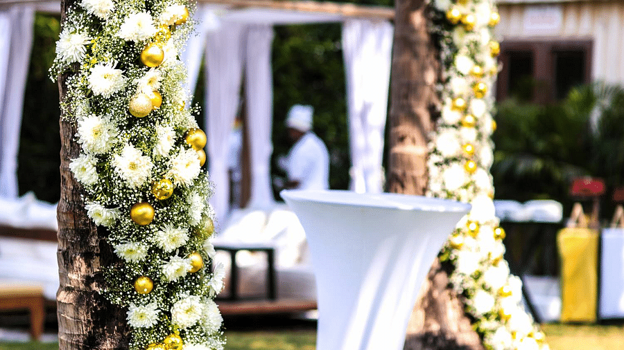 Poolside Decor rwwuzh