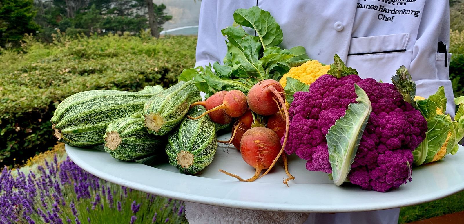 A chef holding a basket of freshly harvested vegetables - Brewery Gulch Inn & Spa