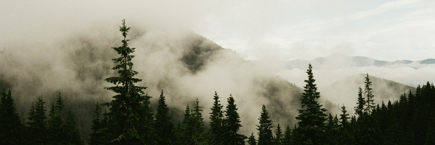 A mountain landscape with vibrant hues in the sky above a valley completely covered by a sea of clouds.