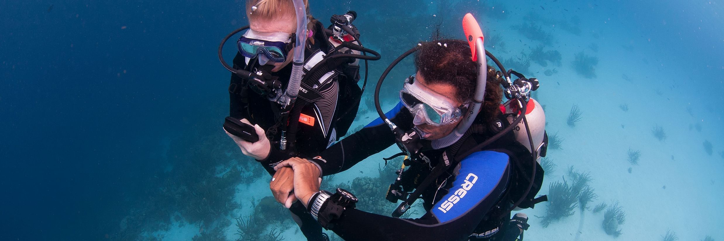 PADI IDC Staff Instructor Hero