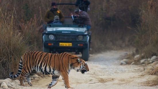 Bijrani Zone - Corbett National Park Near Corbett Wild Iris Spa Resort