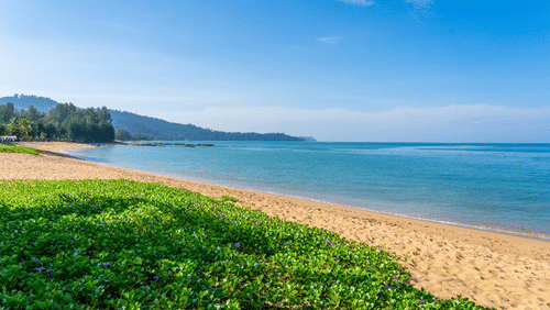 A sandy beach meeting a tranquil turquoise ocean and lush tropical greenery under a blue sky .