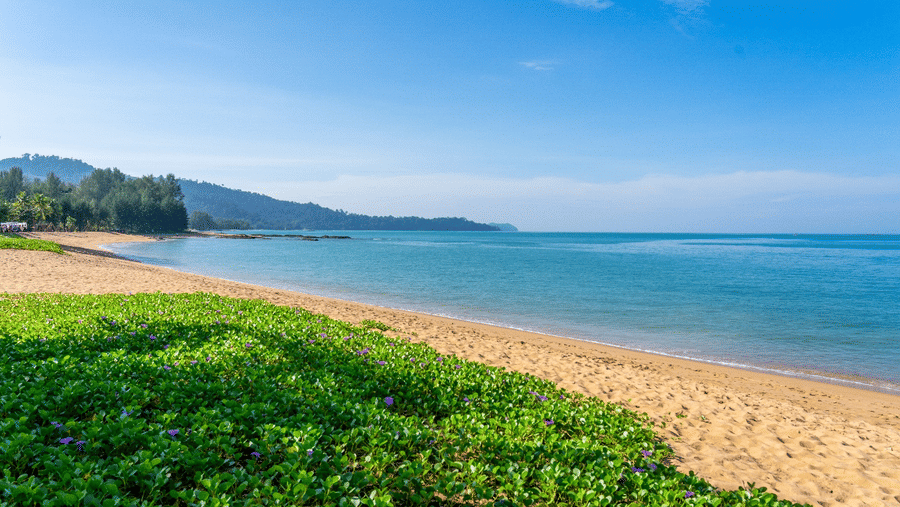 A sandy beach meeting a tranquil turquoise ocean and lush tropical greenery under a blue sky .