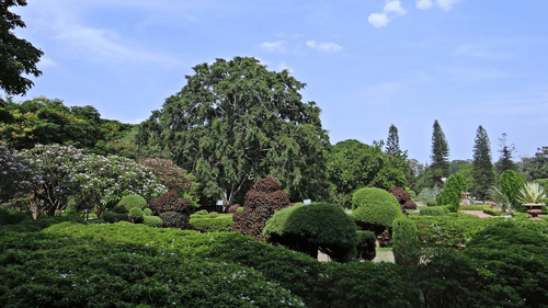 botanical-garden-332535 1920