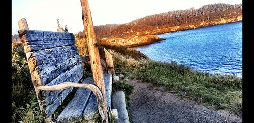 A weathered wooden bench sits beside a path, overlooking a body of water and a distant hillside.