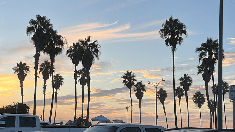 C7522D46-D62D-4CC5-9F8C-DD21493F2454