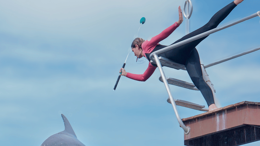 Tropical art sculpture set against blue skies and palm trees at Casa Morada.